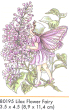 Fairies and Dragons