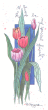 80198 MY SPECIAL FRIEND - 80198 2.6" X 6.5" My Special Friend