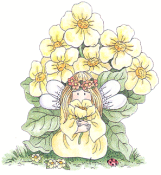 70026 Buttercup  3.5" x 4"